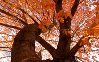 ddos在线压力测试平台